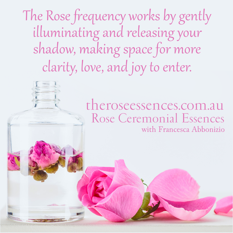 The Rose Essences
